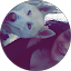 Profile photo of Mickey Cashman