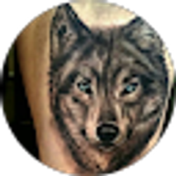 Profile photo of elite 21