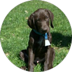 Profile photo of Sharon