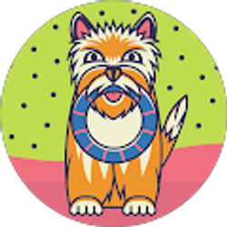 Profile photo of Manuel