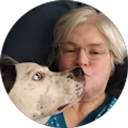 Profile photo of Lori Dorman