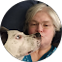 Profile photo of Lori Dorman