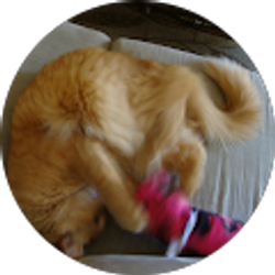 Profile photo of Caitlin Helsel