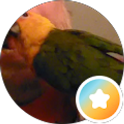 Profile photo of Paco Bird