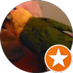 Profile photo of Paco Bird