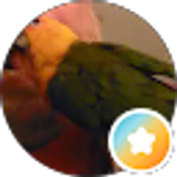 Profile photo of Paco Bird