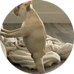 Profile photo of Aimee Janney