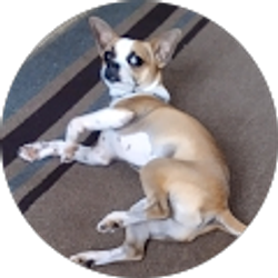 Profile photo of Ashley