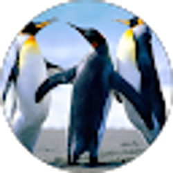 Profile photo of Andre Smith