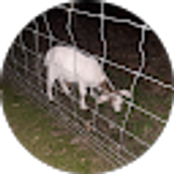 Profile photo of Mike S