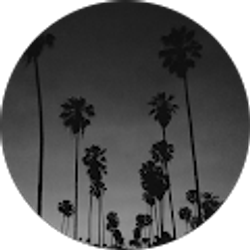 Profile photo of ky gibson