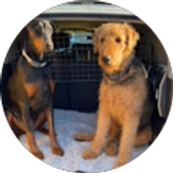 Profile photo of Brenda S