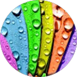 Profile photo of Barbara Solomon