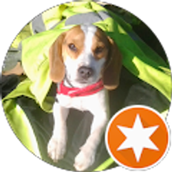 Profile photo of Tim Griesbach