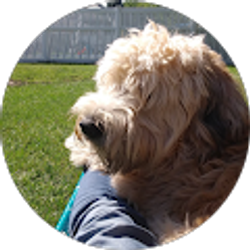 Profile photo of lella Bernardo