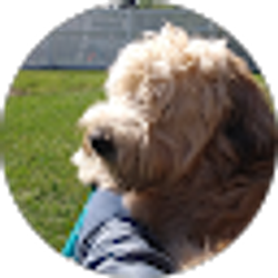 Profile photo of lella Bernardo
