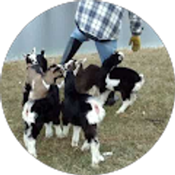 Profile photo of Holli Jacobs