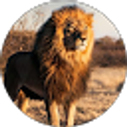 Profile photo of Cade Ingersoll