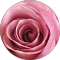 Profile photo of Ruth Catalan