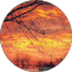 Profile photo of nano villegas