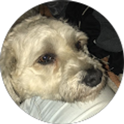 Profile photo of Aly M