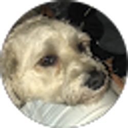 Profile photo of Aly M