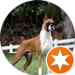 Profile photo of Dee McKinney