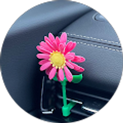 Profile photo of Ami González