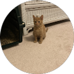 Profile photo of Claire Wilson