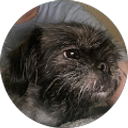 Profile photo of kass