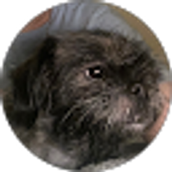 Profile photo of kass