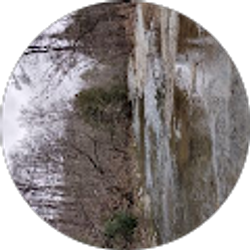 Profile photo of Kaiden Thornton