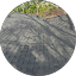 Profile photo of Carlos Padron