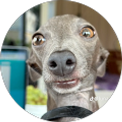 Profile photo of Daysi Carolina Barahona Mendoza