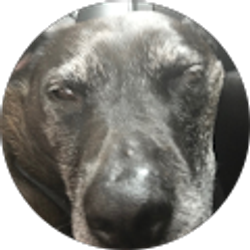 Profile photo of Jakob Ringler