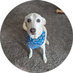 Profile photo of vickie mccallum