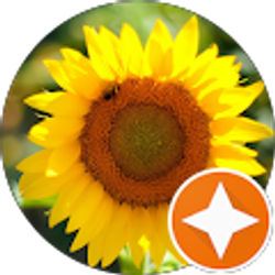 Profile photo of Shonna Nicole