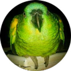 Profile photo of Ashley Gonet