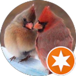 Profile photo of Lisa Thompson