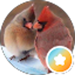 Profile photo of Lisa Thompson