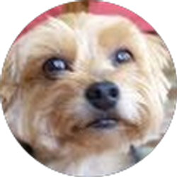 Profile photo of Mary Jo Barbarossa