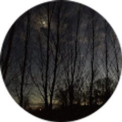 Profile photo of Taylor Agan