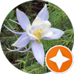 Profile photo of Sarah Burgett