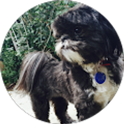 Profile photo of Contessa