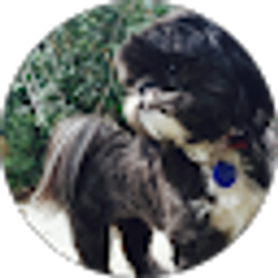 Profile photo of Contessa