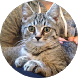 Profile photo of Jen H