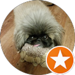 Profile photo of Christine Summers