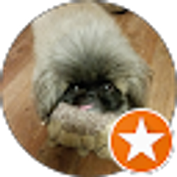 Profile photo of Christine Summers