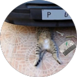 Profile photo of julytlo