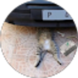 Profile photo of julytlo